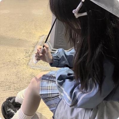 波特莱尔的冒险