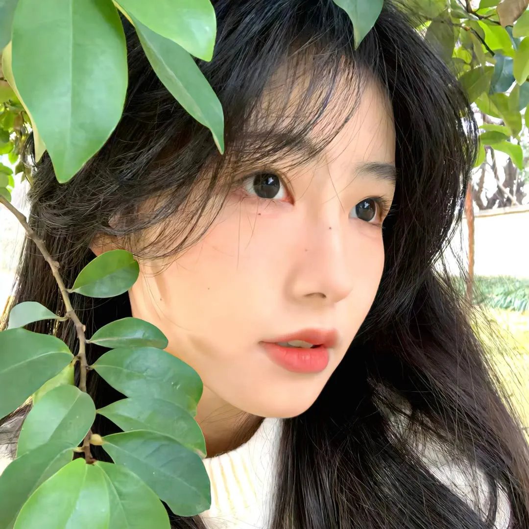 鹿
